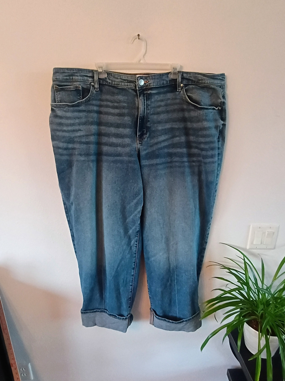 Lane Bryant Jeans Size 28 Plus Cropped Capri Stretch Denim Cuffed Medium Wash